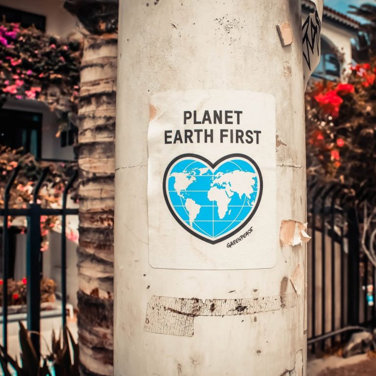 planet-earth-first-poster-on-a-concrete-post-3302183